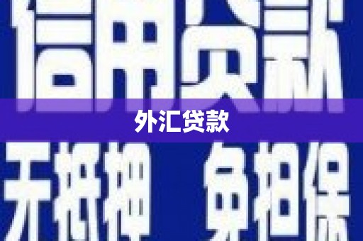 高密外汇贷款