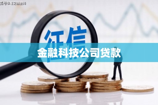 高密金融科技公司贷款