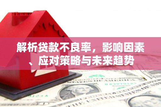 高密解析贷款不良率，影响因素、应对策略与未来趋势