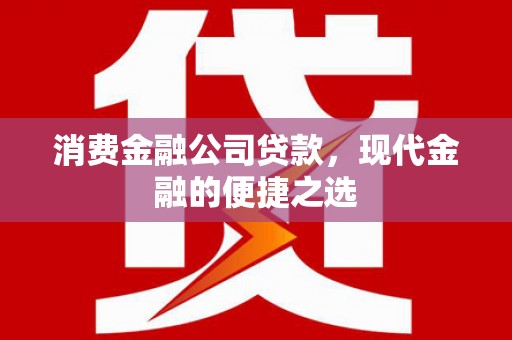 高密消费金融公司贷款，现代金融的便捷之选