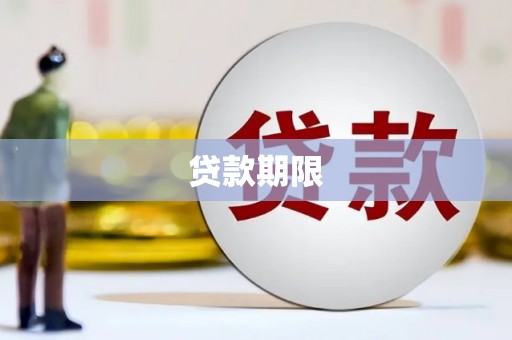 高密贷款期限