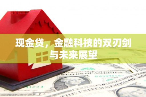 高密现金贷，金融科技的双刃剑与未来展望