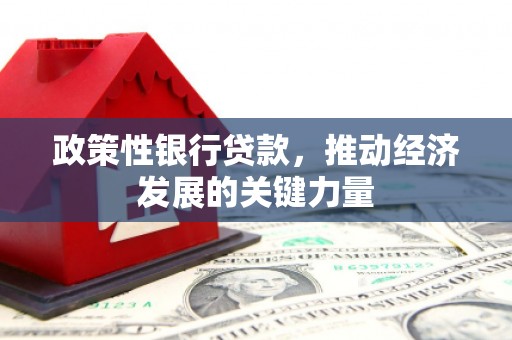 高密政策性银行贷款，推动经济发展的关键力量