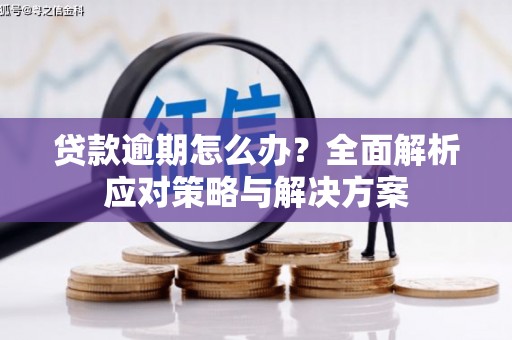 高密贷款逾期怎么办？全面解析应对策略与解决方案