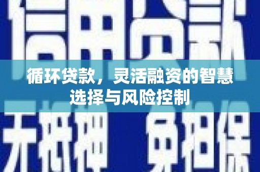 高密循环贷款，灵活融资的智慧选择与风险控制