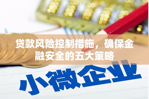 高密贷款风险控制措施，确保金融安全的五大策略