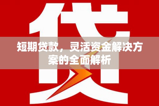 高密短期贷款，灵活资金解决方案的全面解析