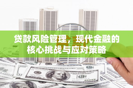 高密贷款风险管理，现代金融的核心挑战与应对策略