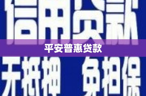 高密平安普惠贷款
