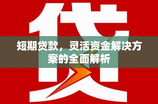 高密短期贷款，灵活资金解决方案的全面解析