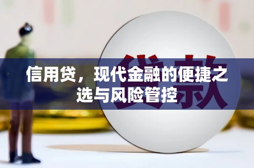 高密信用贷，现代金融的便捷之选与风险管控