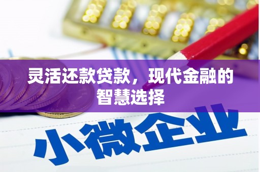 高密灵活还款贷款，现代金融的智慧选择