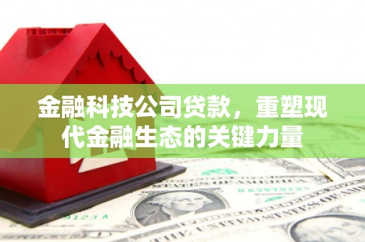 高密金融科技公司贷款，重塑现代金融生态的关键力量