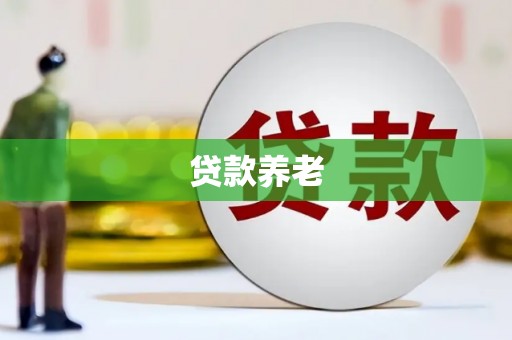 高密贷款养老