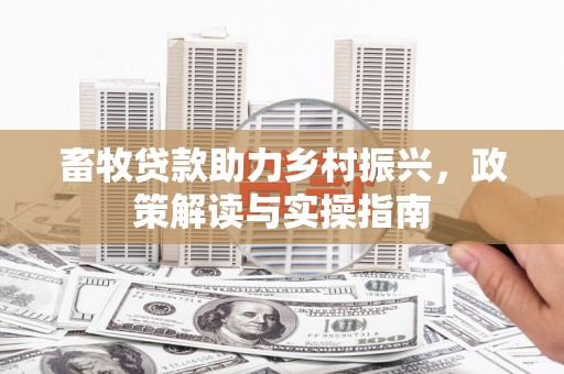 高密畜牧贷款助力乡村振兴，政策解读与实操指南