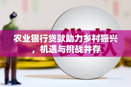 高密农业银行贷款助力乡村振兴，机遇与挑战并存