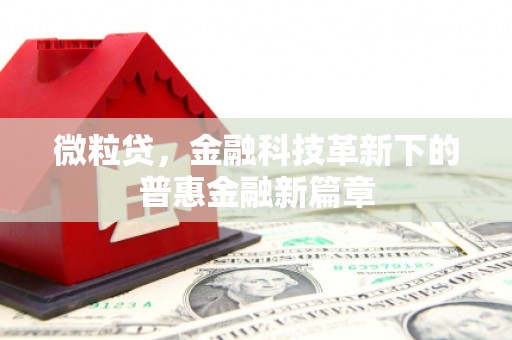 高密微粒贷，金融科技革新下的普惠金融新篇章