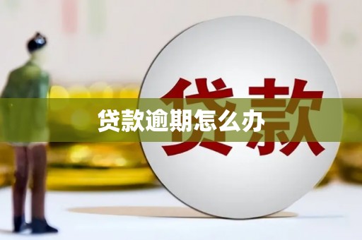 高密贷款逾期怎么办
