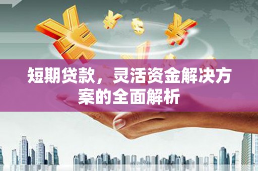 高密短期贷款，灵活资金解决方案的全面解析