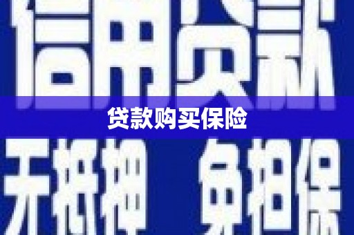 高密贷款购买保险