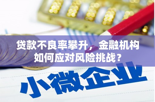高密贷款不良率攀升，金融机构如何应对风险挑战？