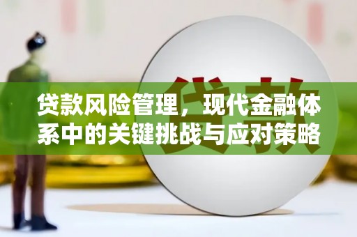 高密贷款风险管理，现代金融体系中的关键挑战与应对策略