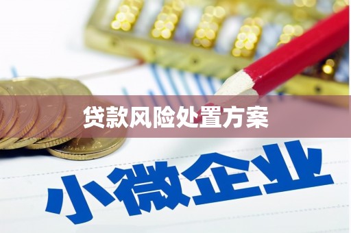 高密贷款风险处置方案