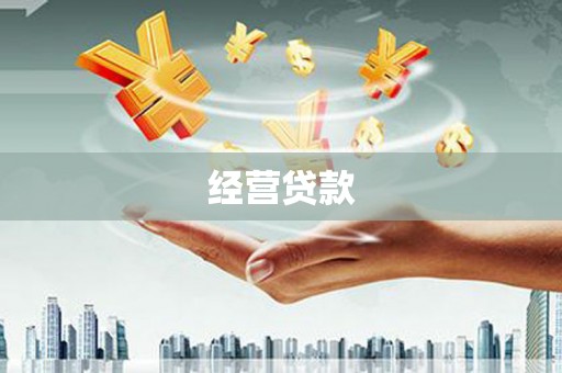 高密经营贷款