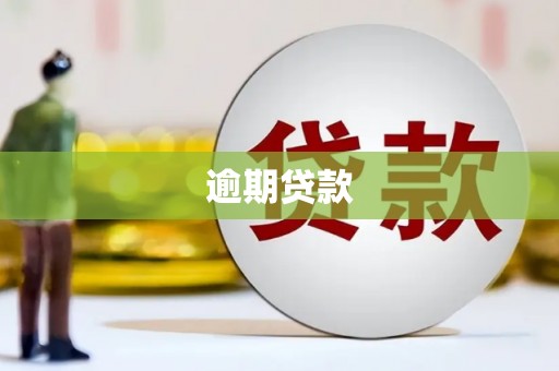 高密逾期贷款